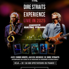Concert The Dire Straits Experience