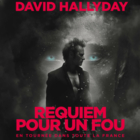 Concert de David Hallyday