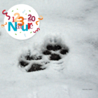 123 Nature : Traces et indices