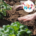 123NATURE: Les semis aux jardins du pont Sarrazin