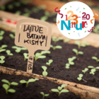 123 NATURE : Les jardins d'IDéES