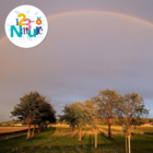 La lumière de l'arc-en-ciel et des étoiles