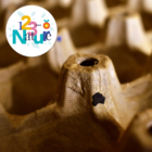 Cartes en papier recyclé