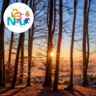 Balade crépusculaire