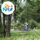 Les arbres remarquables