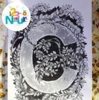 Découverte des encres ferrogalliques