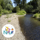 Au botd de la rivière