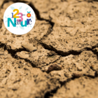 Le sol: de la forêt