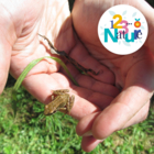 Les petites bêtes de l'eau