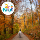 Balade sophro « bain de forêt »