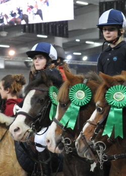 Cours d'équitation enfants