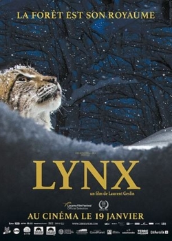 Projection en plein air du film LYNX