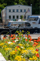 Balade musicale à vélo autour du Pays Montbéliard
