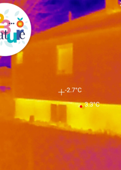 Visite - Balade thermique