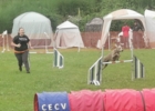Concours Agility