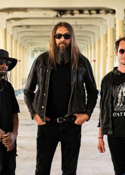 Vendredi musique : Deadly shakes