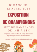 Exposition Champignons