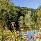 Les étangs des Princes