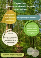 Exposition Nature secrète du Pays de Montbéliard