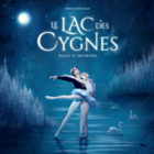 Le Lac des Cygnes