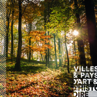 Les abris sous roche de Rochedane