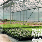 Les serres de Montbéliard