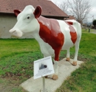 La vache montbéliarde en hommage à Edmond Nétillard