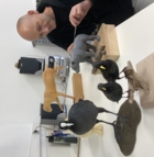 Les secrets de la taxidermie, rencontre-métier