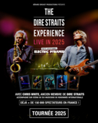 Concert The Dire Straits Experience