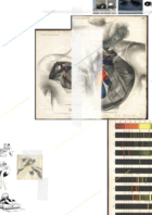 Exposition "Sous la poussière"