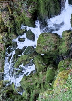 La Source de la Doue