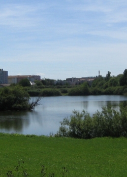 L'étang des Graviers