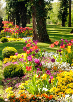 Parc du Près-la-Rose
