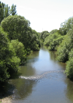 La Savoureuse