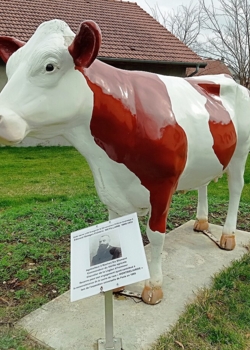 La vache montbéliarde en hommage à Edmond Nétillard