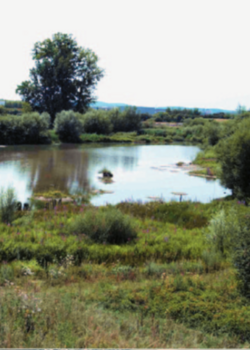 L’ENS de la Basse Vallée de l’Allan