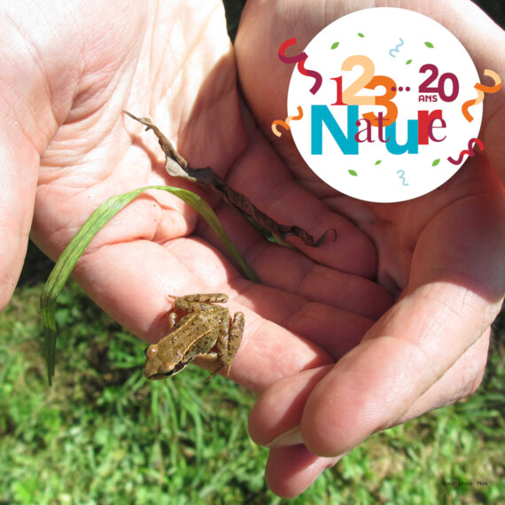 123 Nature : Les petites bêtes de l'eau