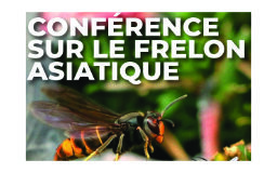 Conférence Frelon Asiatique