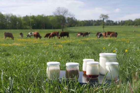 Mercredi découverte : Ferme de la Charme