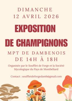 Exposition Champignons