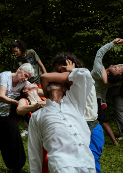 LES FISSURES POETIQUES  IMPROMPTUS DANSES cycle 2